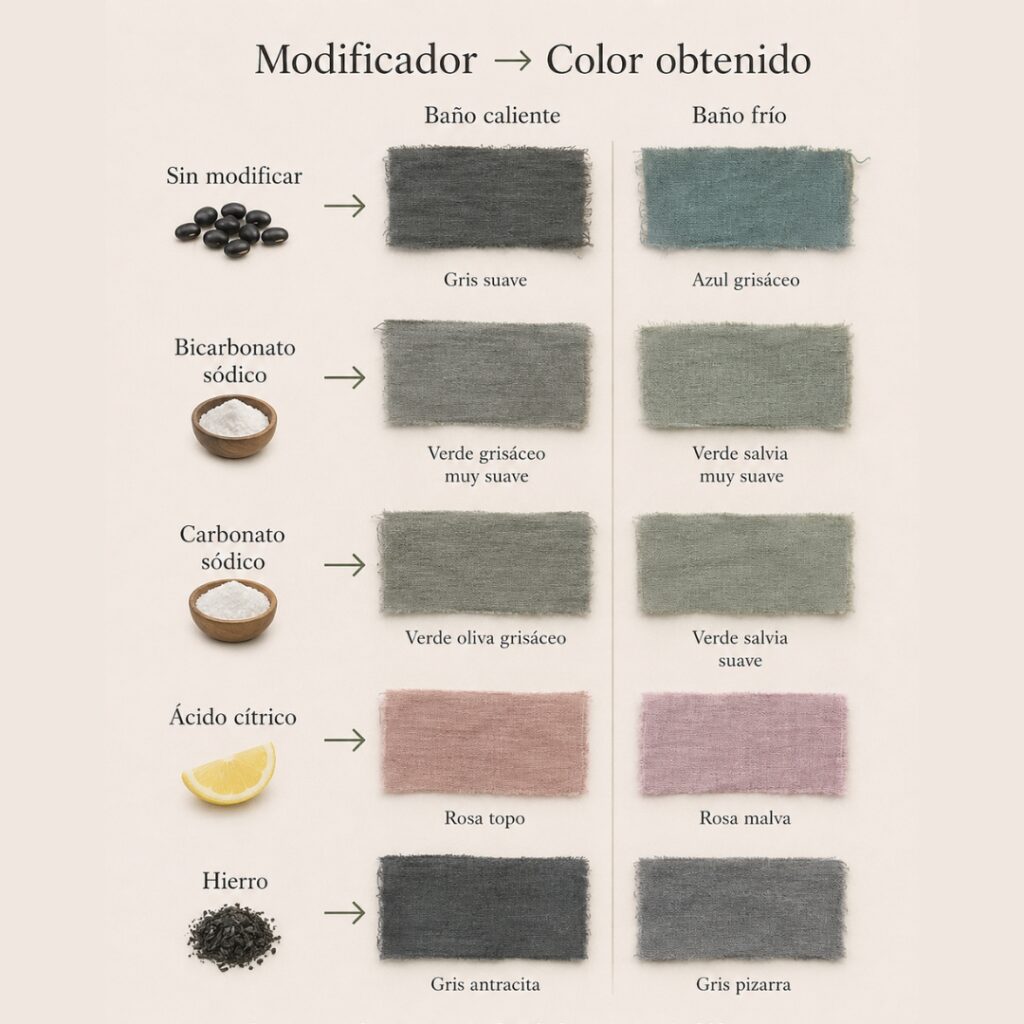 Colores obtenidos al modificar tinte de alubias negras con ácido cítrico, bicarbonato, carbonato e hierro